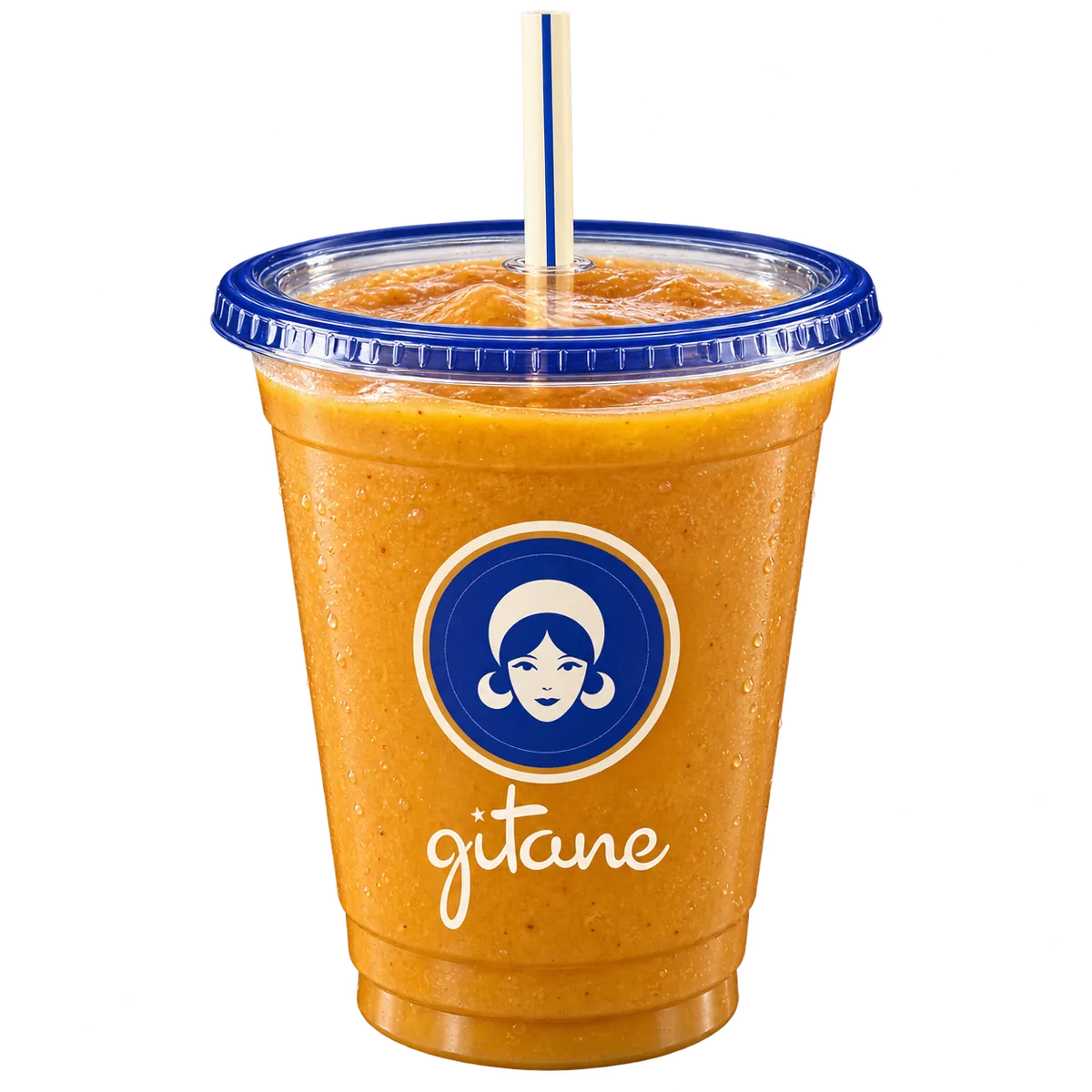 Vanilla Ice de gitane